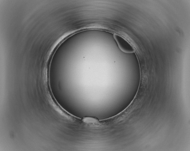 X0000110881092200906181220
