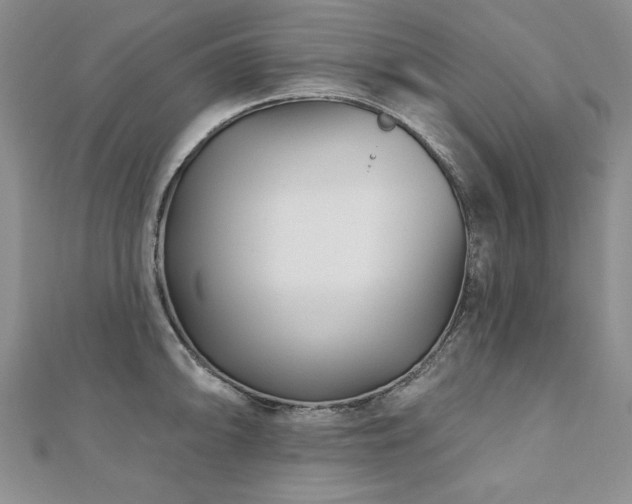 X0000110881094200906181220