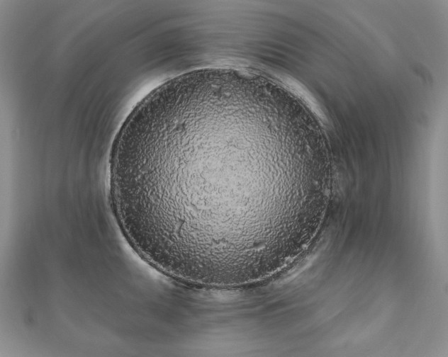 X0000110881095200906181220