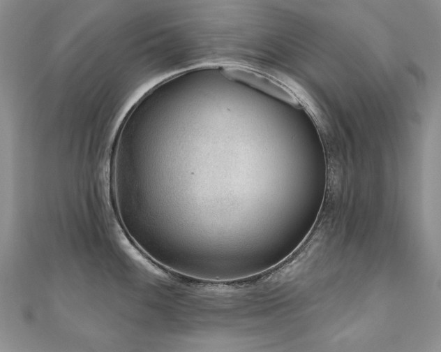 X0000110881100200906181220