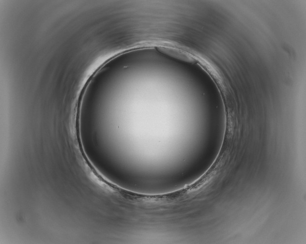 X0000110881102200906181220