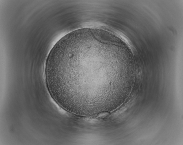 X0000110881103200906181220