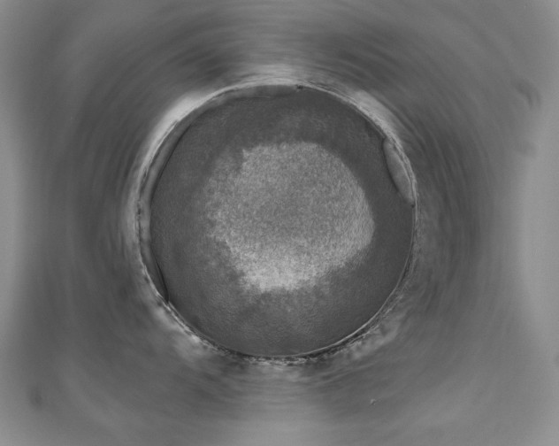 X0000110881104200906181220