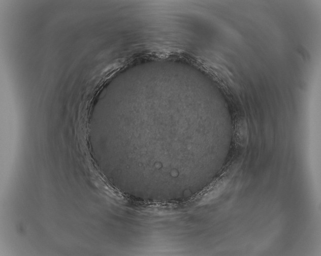 X0000110881105200906181219