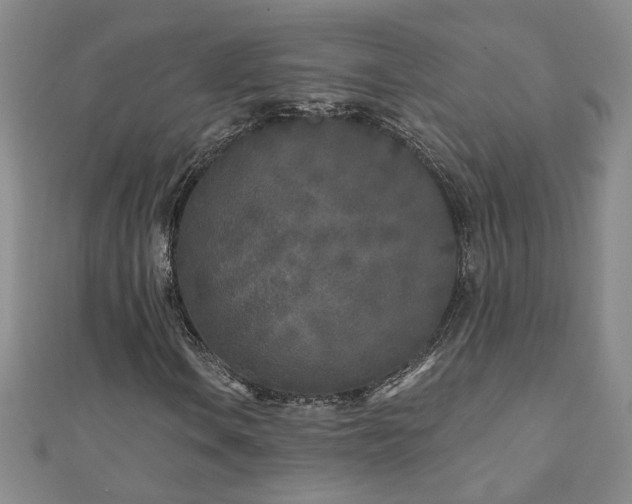 X0000110881106200906181219