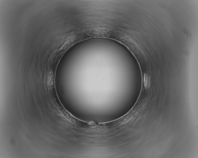 X0000110881107200906181219