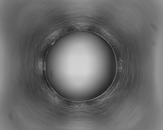 X0000110881108200906181219