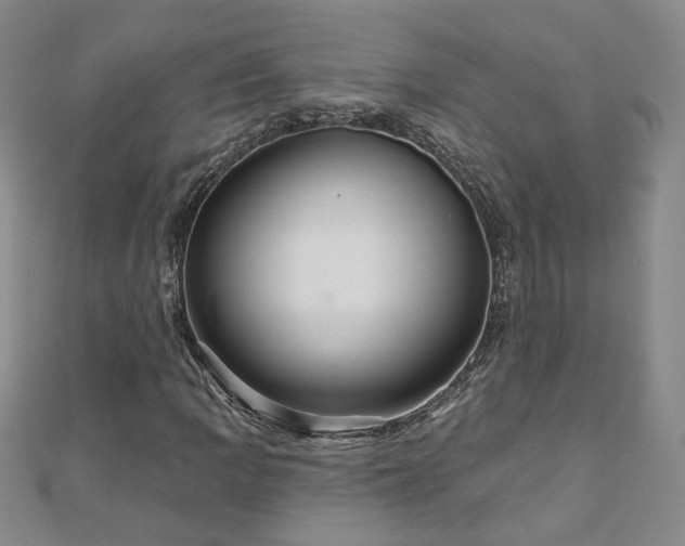 X0000110881109200906181219
