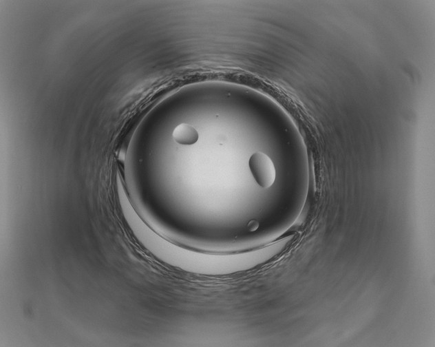 X0000110881110200906181219