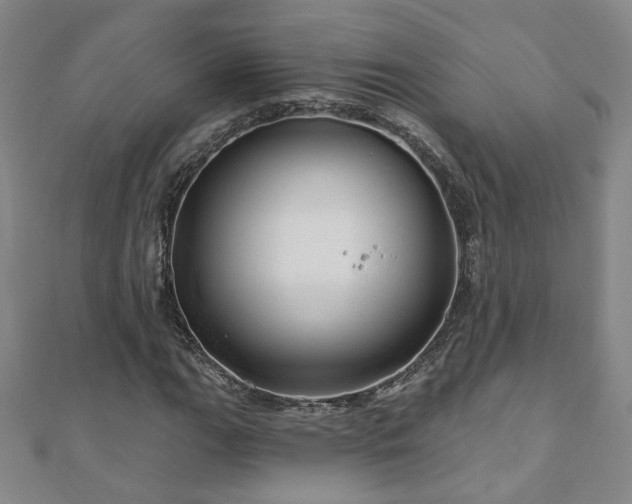 X0000110881111200906181219