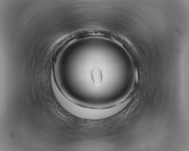 X0000110881112200906181219