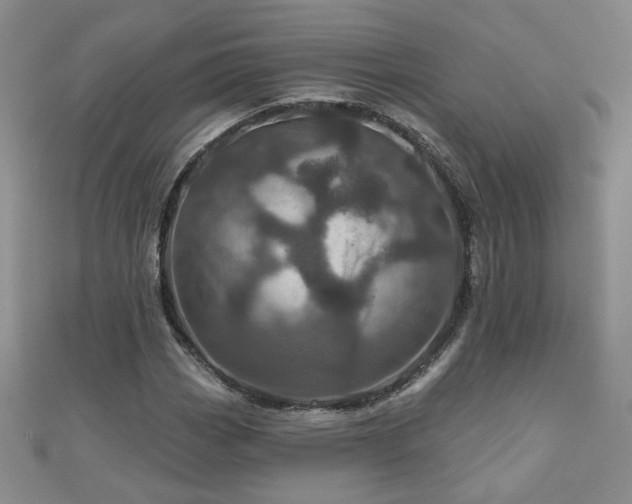 X0000110881113200906181219