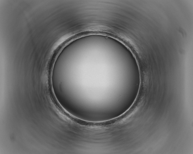 X0000110881114200906181219