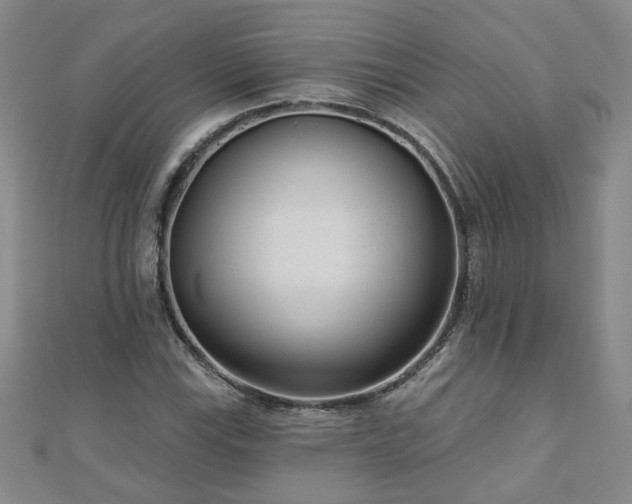 X0000110881115200906181219