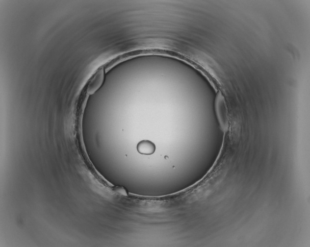 X0000110881116200906181219