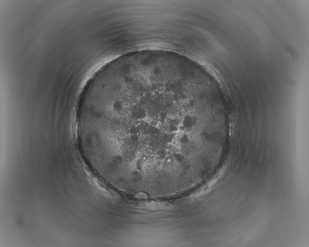 X0000110881117200906181219