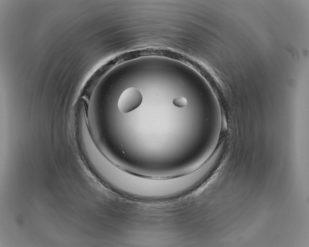 X0000110881118200906181219