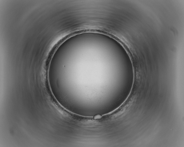 X0000110881119200906181219