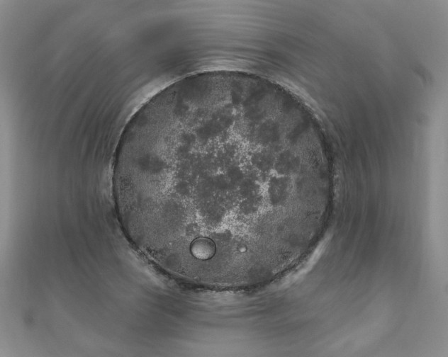 X0000110881121200906181219