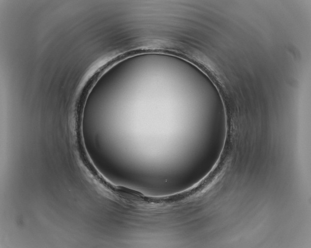 X0000110881122200906181219