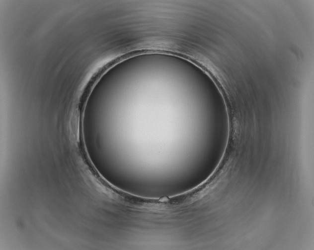 X0000110881123200906181219