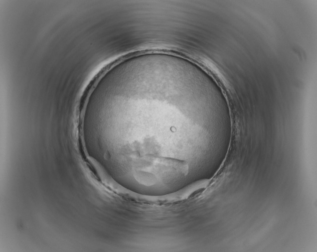 X0000110881124200906181219