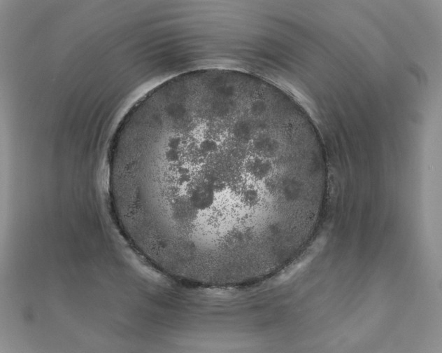 X0000110881125200906181219
