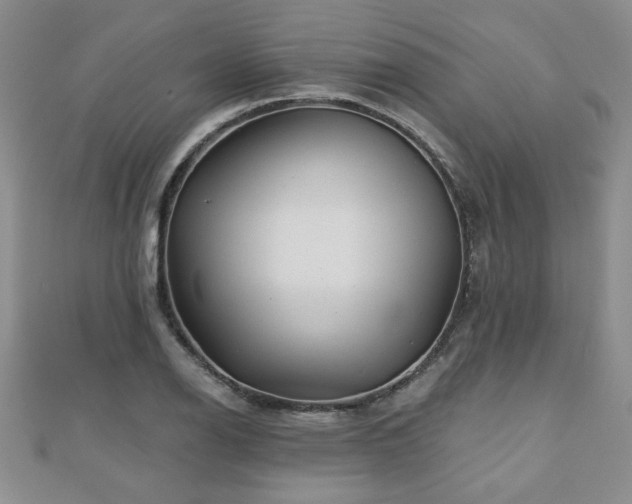 X0000110881126200906181219