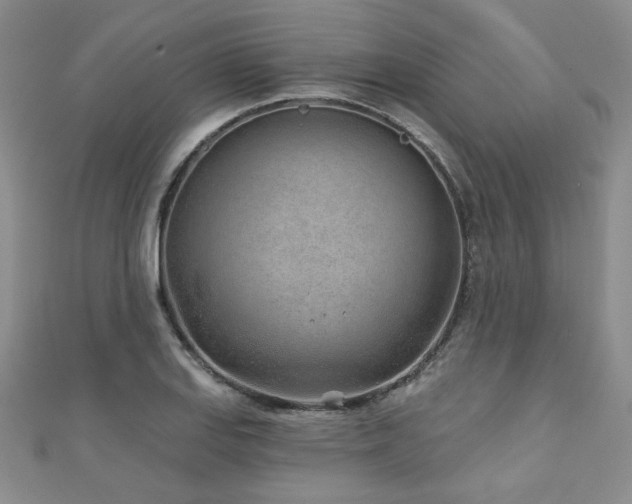 X0000110881127200906181219