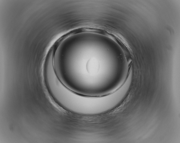 X0000110881128200906181219