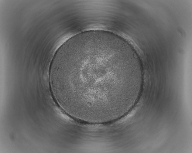 X0000110881129200906181219