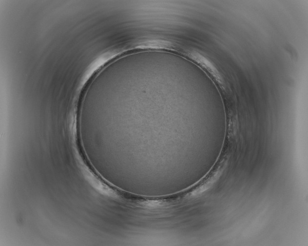X0000110881130200906181219
