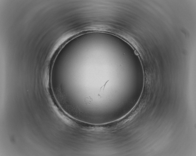 X0000110881131200906181219
