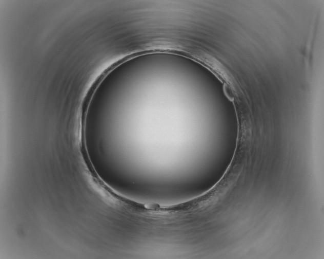 X0000110881132200906181219