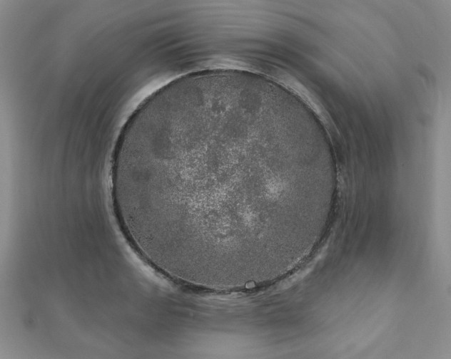 X0000110881133200906181219