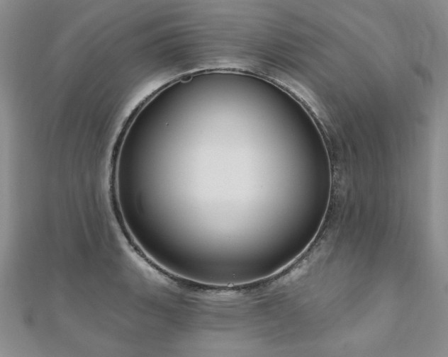X0000110881135200906181219