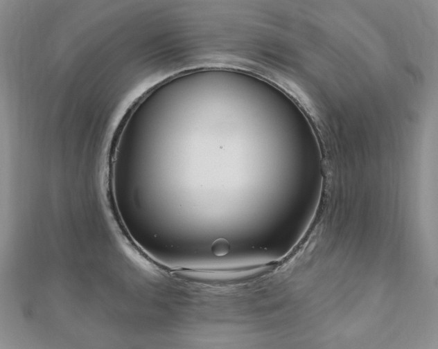 X0000110881136200906181219