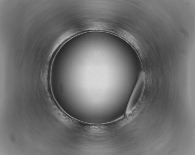 X0000110881138200906181220