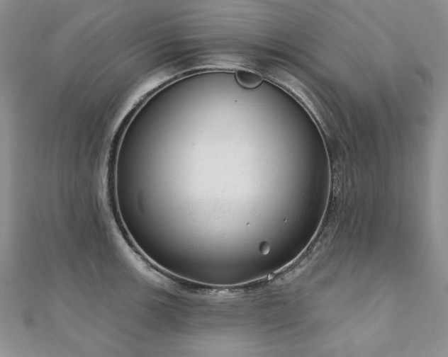 X0000110881139200906181220