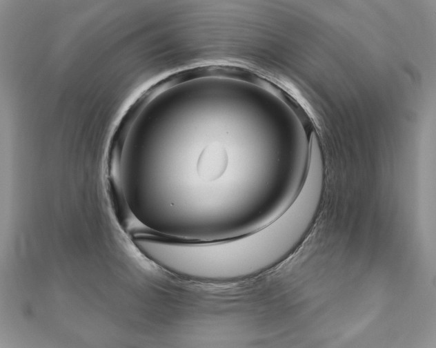 X0000110881140200906181220