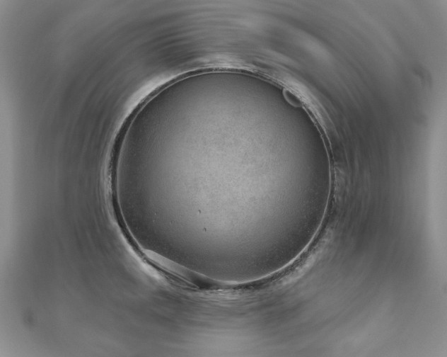 X0000110881141200906181220