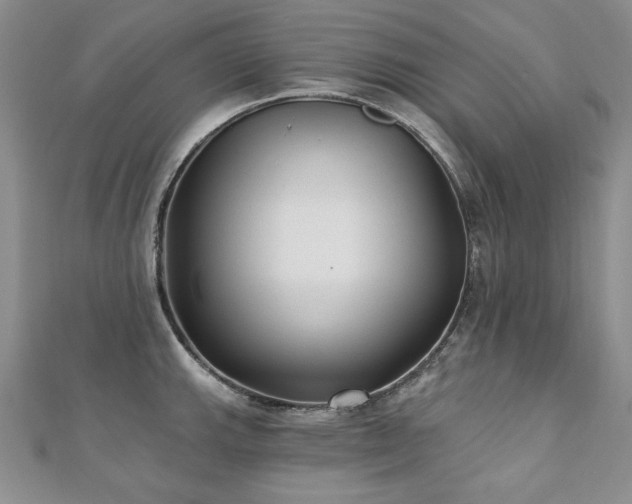 X0000110881143200906181220