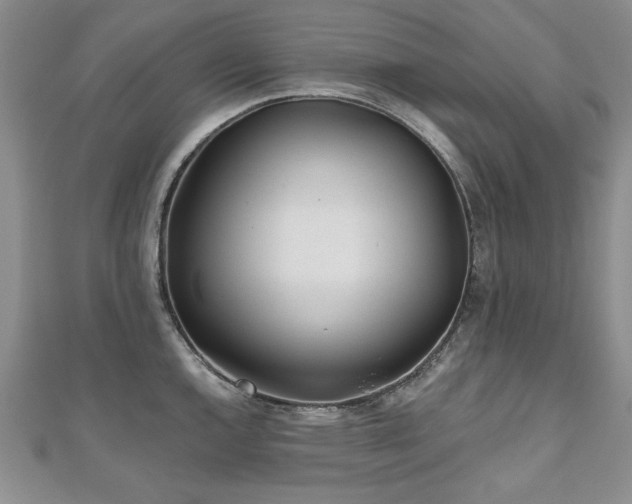 X0000110881144200906181220