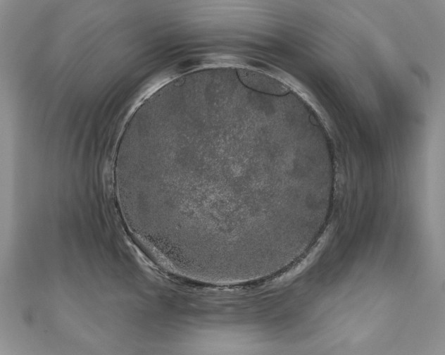 X0000110881145200906181220