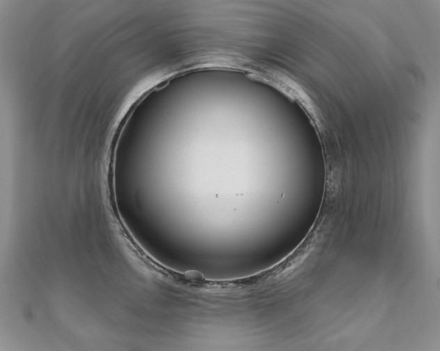 X0000110881146200906181220