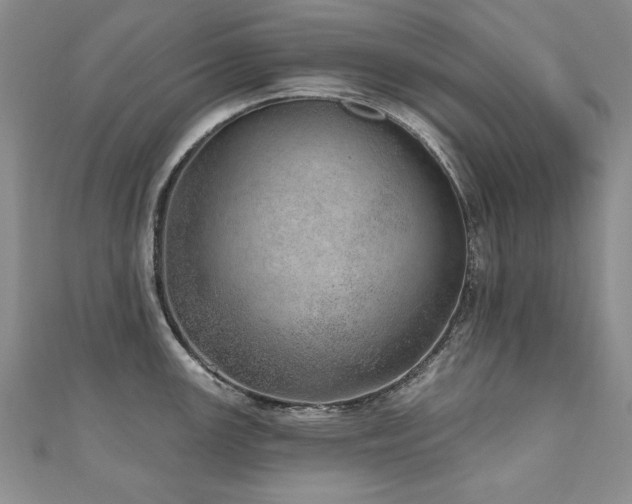 X0000110881147200906181220