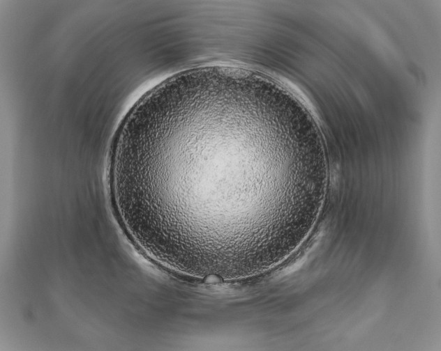 X0000110881149200906181220