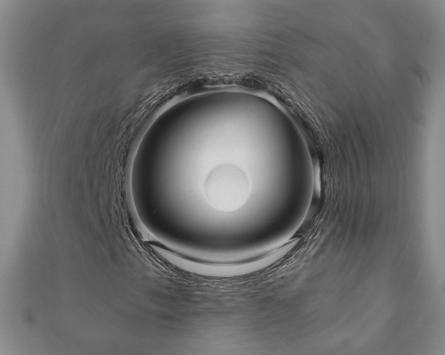 X0000110881153200906181219