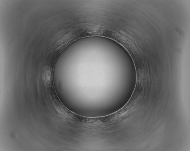 X0000110881154200906181219
