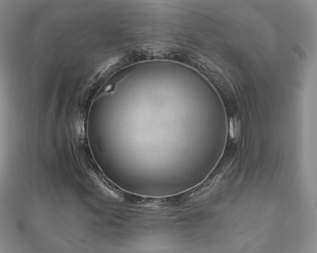 X0000110881155200906181219